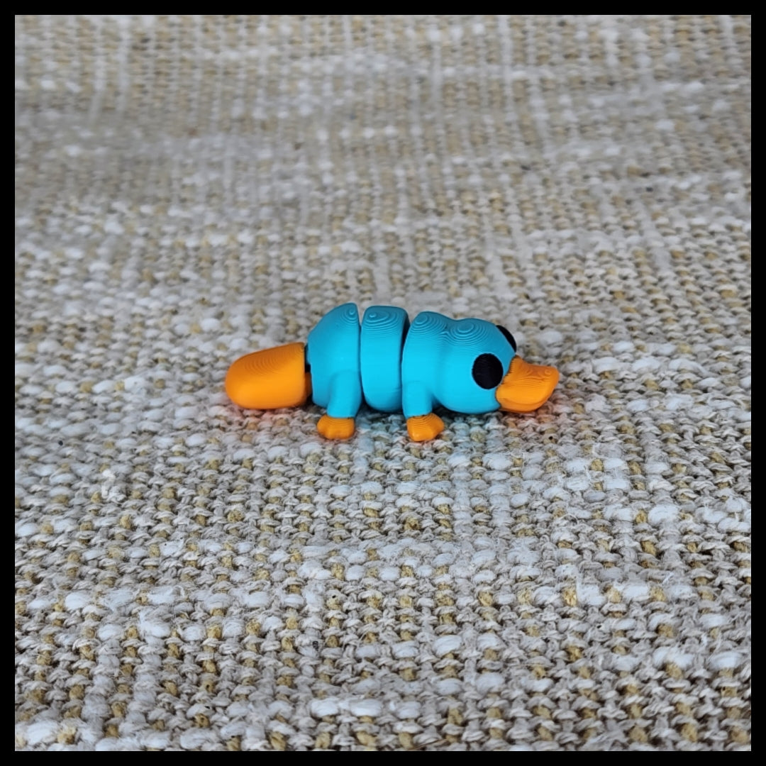 Platypus / Perry the Platypus