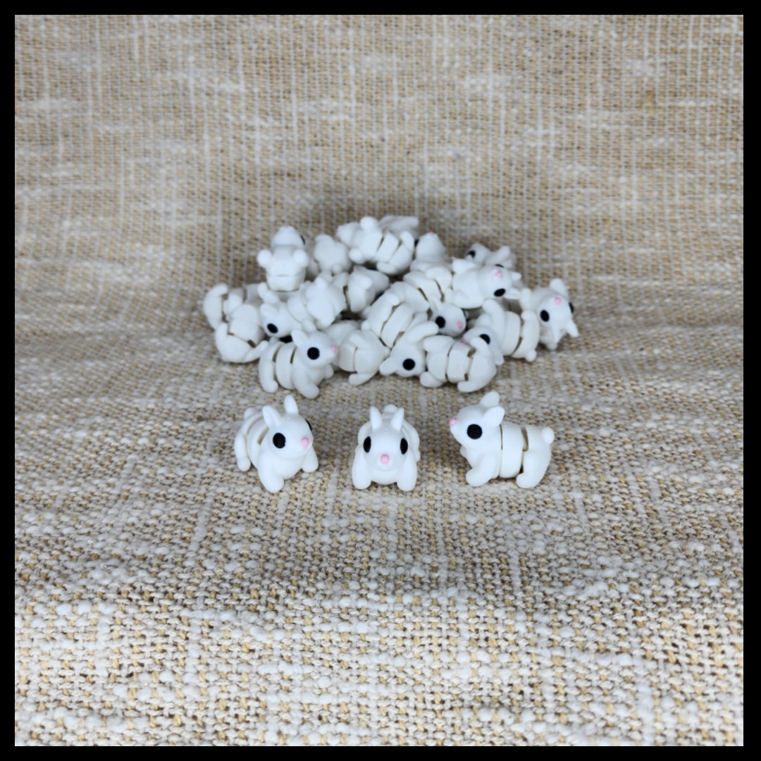 Bunny / Rabbit