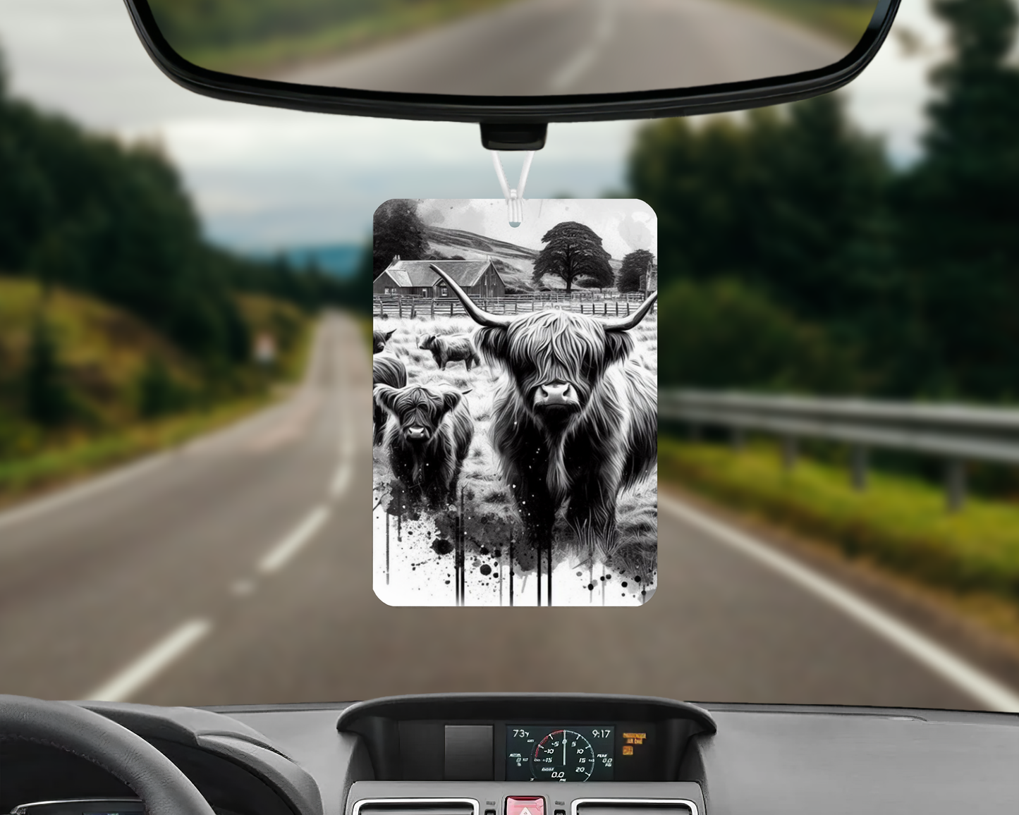 Highland Cow
