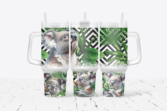 Koala