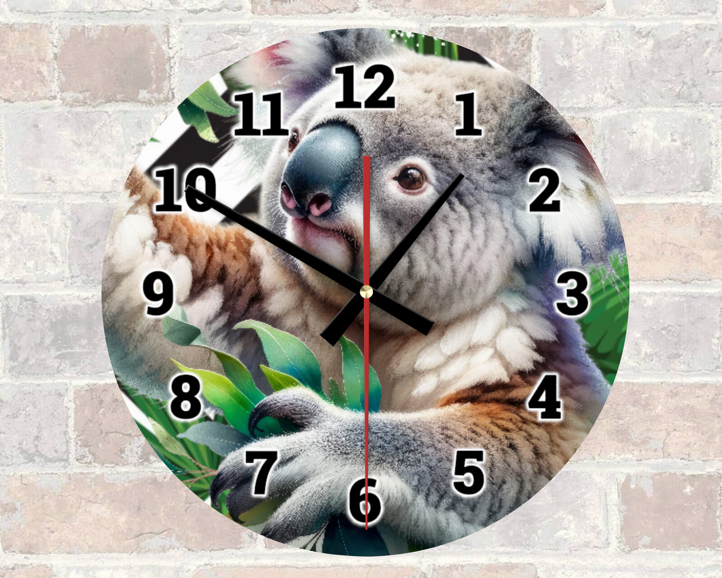 Koala