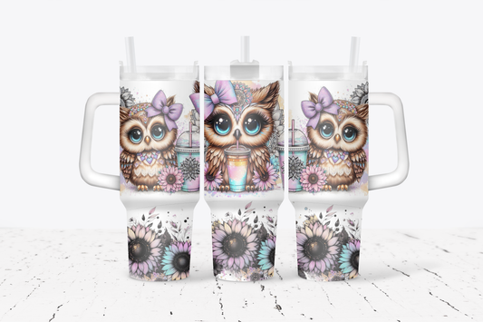 Owls