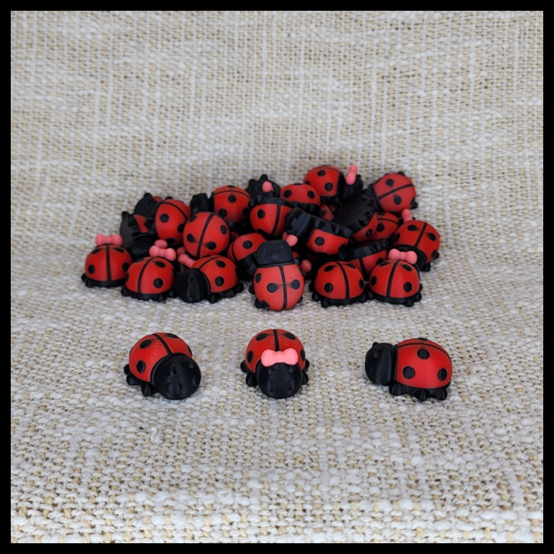 Ladybug