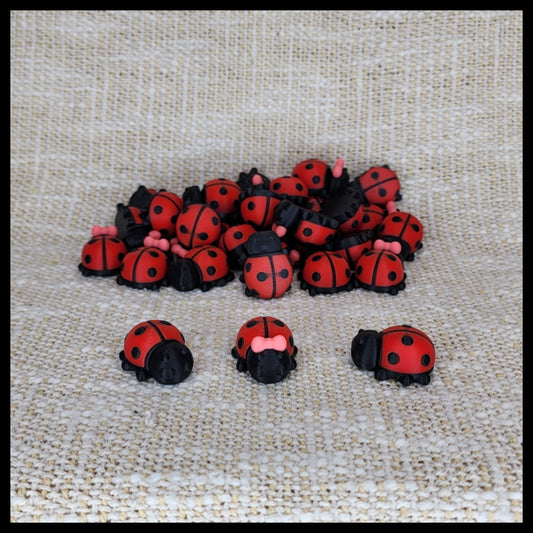 Ladybug