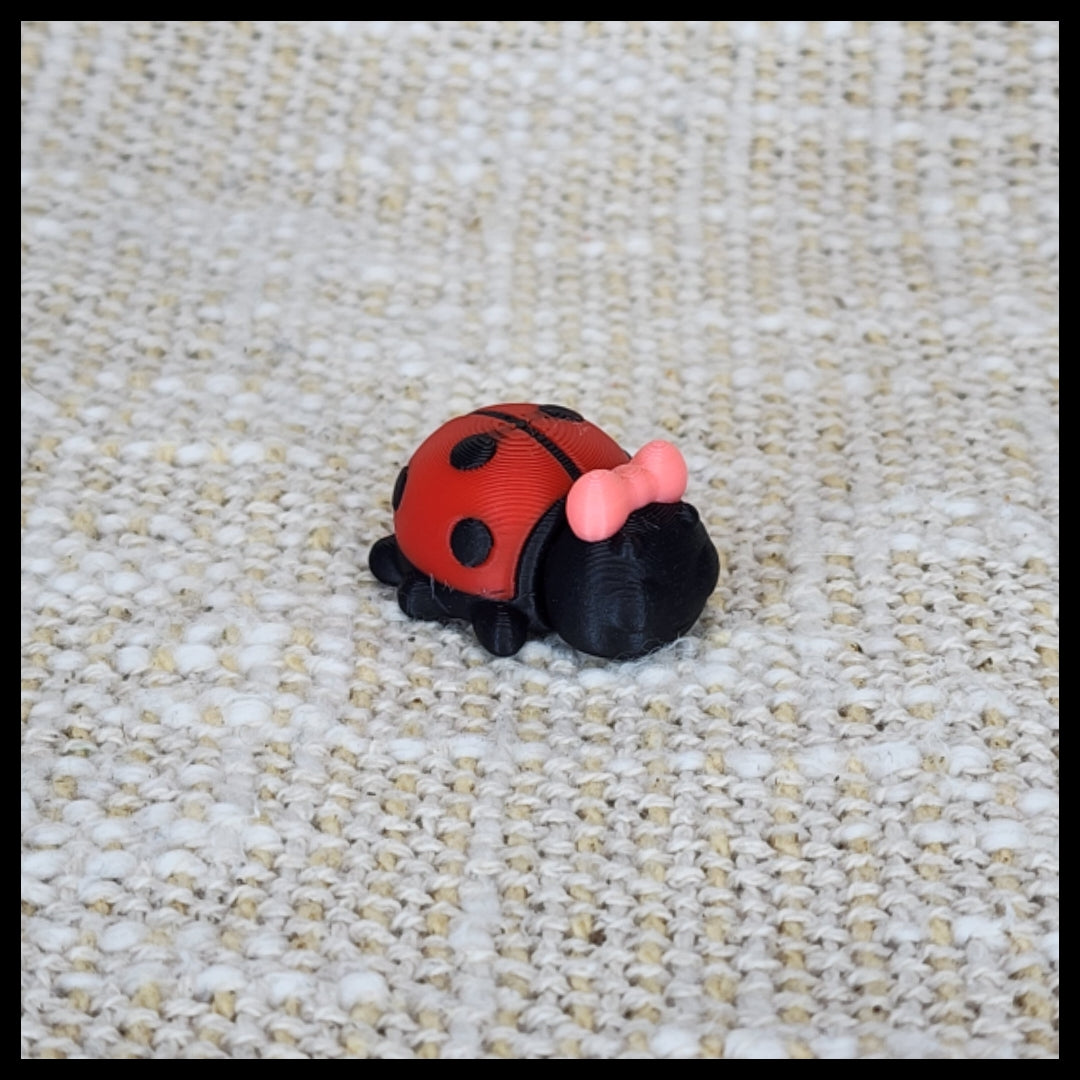 Ladybug