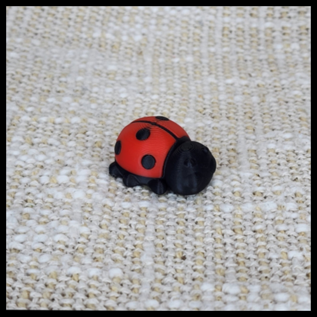 Ladybug