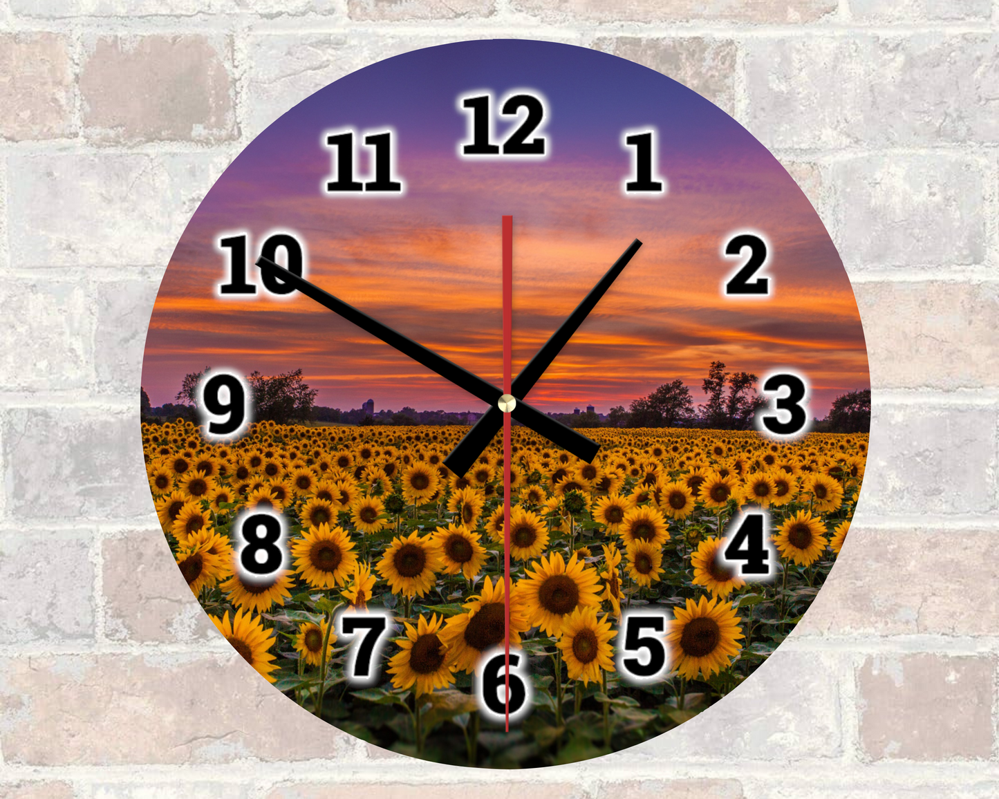 Sunflower Field