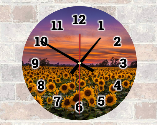 Sunflower Field